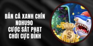 Bắn Cá Xanh Chín Nohu90 - Cược Sát Phạt, Chơi Cực Đỉnh