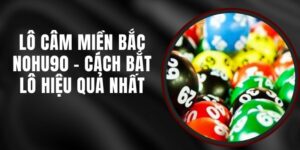 Lô Câm Miền Bắc Nohu90 - Cách Bắt Lô Hiệu Quả Nhất