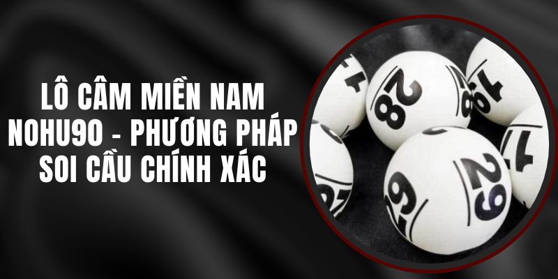 Lô Câm Miền Nam Nohu90 - Phương Pháp Soi Cầu Chính Xác